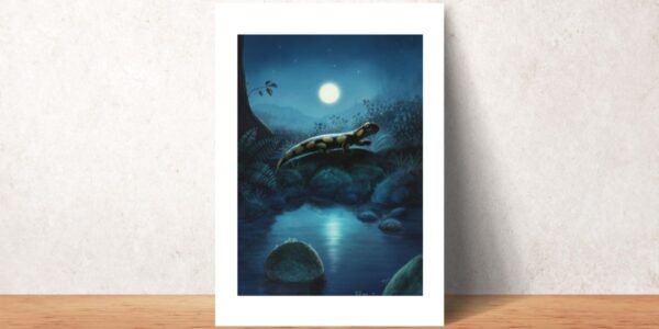 Plakat „Salamandra i strumyk” - obrazek 6
