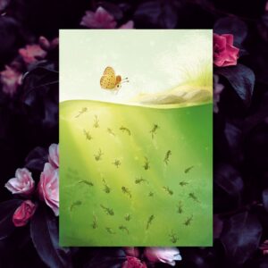 Plakat „Motyl i kijanki”