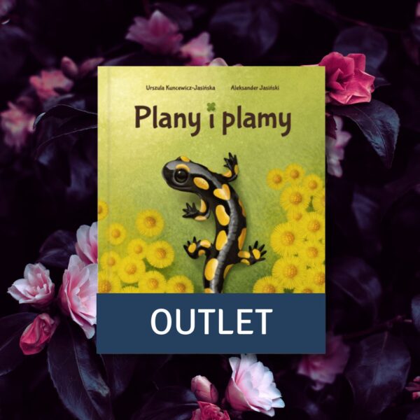 Lekko uszkodzona książka „Plany i plamy”